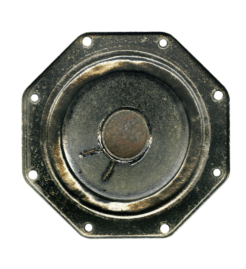 Website - Speaker